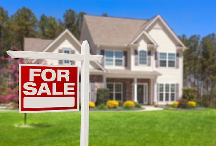 Buying a New Home? Don’t Forget a Mold Inspection