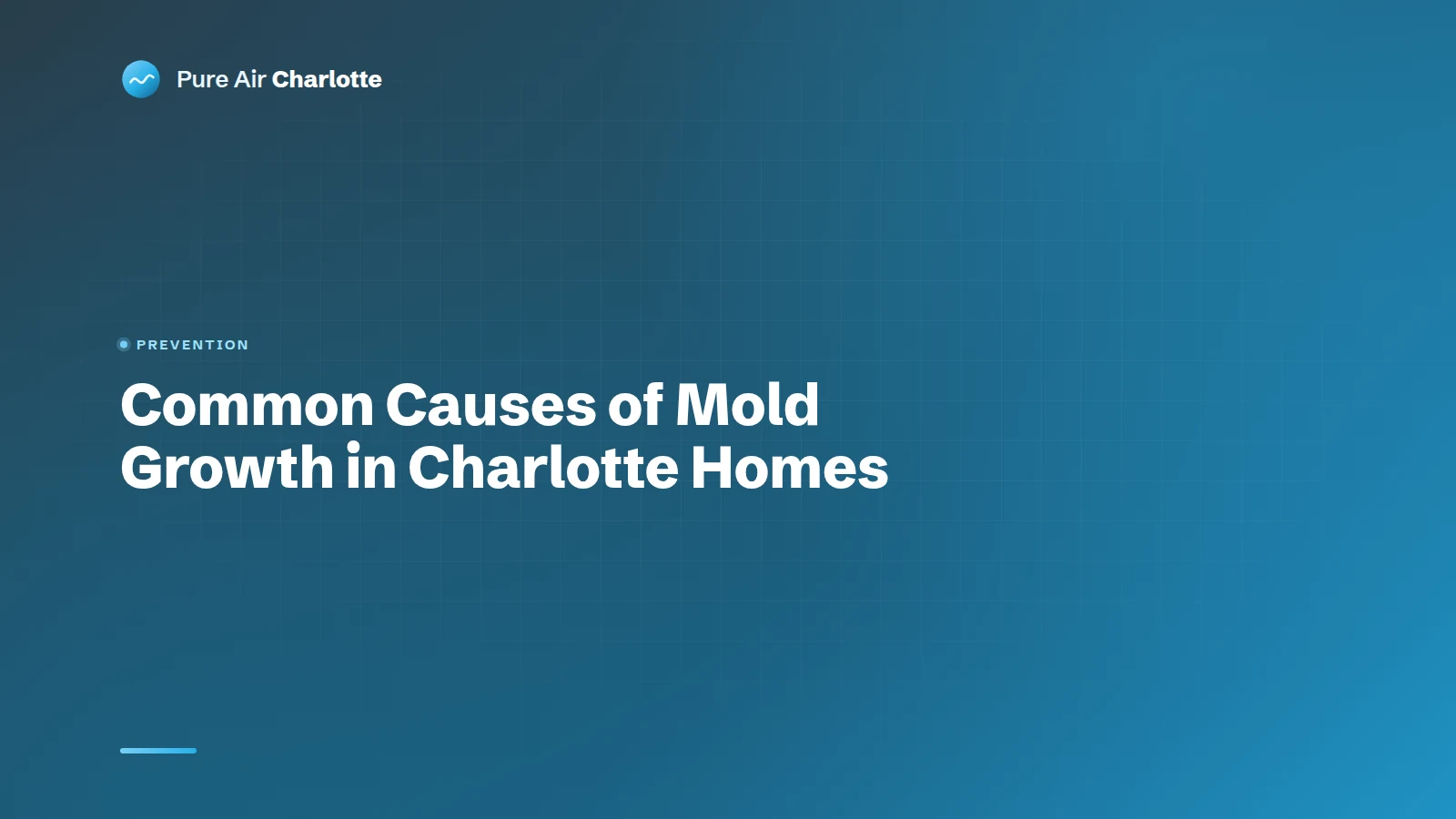 Common Causes of Mold Growth in Charlotte Homes and How to Prevent It