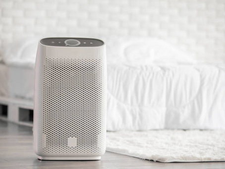 Do Air Purifiers Work for Mold?