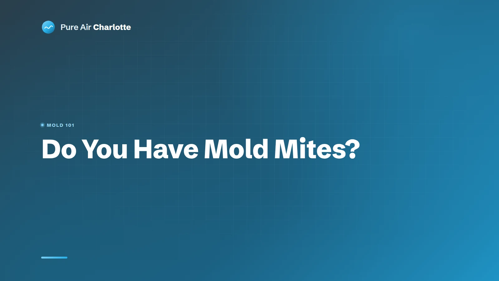 Do You Have Mold Mites?