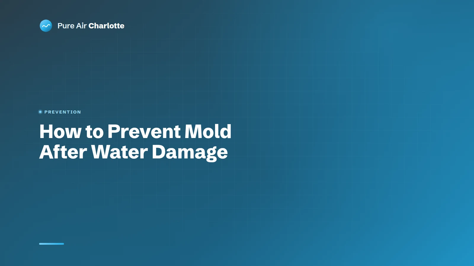 How to Prevent Mold After Water Damage?