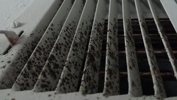 How to Prevent Mold in Your Air Ducts?