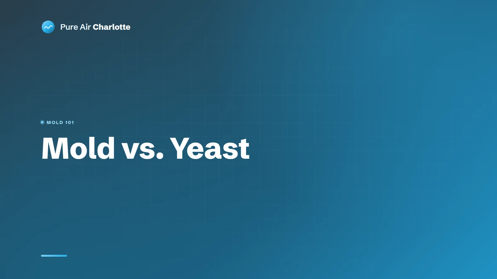 Mold vs. Yeast