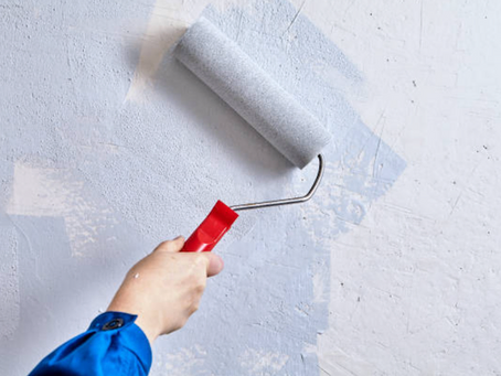 Should You Use Mold-Resistant Paint?