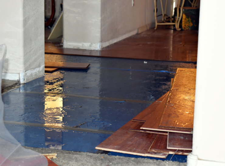 Top 5 Signs Your Home May Have Water Damage (And What to Do About It)
