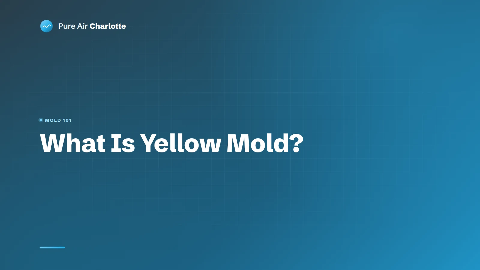 What is Yellow Mold?