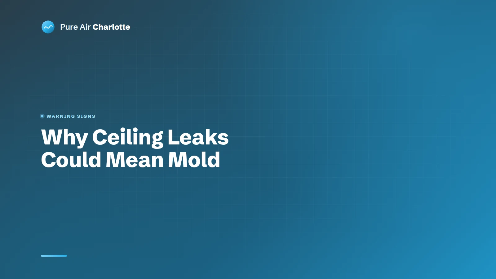 Why Ceiling Leaks Could Mean Mold