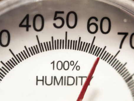 Why Does Humidity Cause Mold?